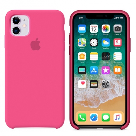 Apple iPhone 11 Silicone case (ПИТАЙЯ)